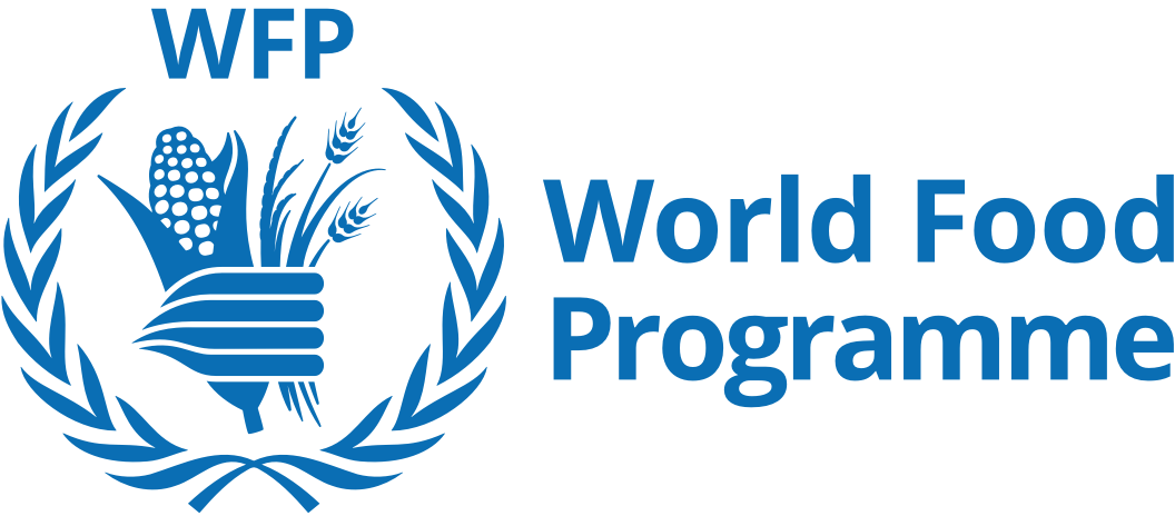 wfp logo standard blue en
