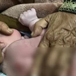 পটুয়াখালীতে পাঠ্য বইয়ের ভেতরে গাঁজা