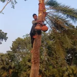 শীর্ষ সন্ত্রাসী ও জঙ্গি ছাড়া কাউকে ডান্ডাবেড়ি পরানো যাবে না: হাইকোর্ট