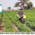 অতিথি পাখিদের কলকাকলিতে মুখর পাইকগাছায় ফ্যান্টাসি গার্ডেন এন্ড পার্ক