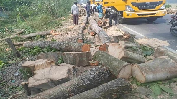 ঢাকা-বরিশাল মহাসড়কের ভূয়া টেন্ডারে ৪০ লক্ষ টাকার গাছ হরিলুট 5 gournadi photo sl 2 600x337 1