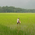 বরিশালকে স্মার্ট নগরী হিসেবে গড়ে তোলা হবে : জাহিদ ফারুক