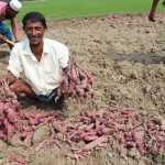 আরাকান আর্মি ও জান্তা বাহিনীর তুমুল লড়াই