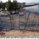কুমিল্লা জেলা পরিষদ নির্বাচনে সংরক্ষিত আসনে শিরিনকে মনোনয়ন দেওয়ার দাবি