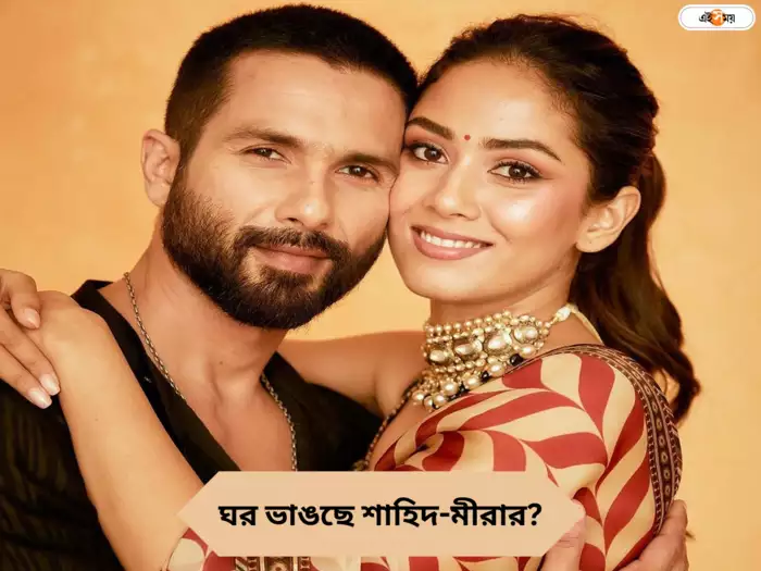 তুমুল অশান্তি শাহিদ-মীরার, ঘর ভাঙছে তারকা দম্পতির 5 107332459
