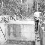 বরিশাল বিশ্ববিদ্যালয়ে ১৩ বছরেও গঠন হয়নি যৌন হয়রানি প্রতিরোধ কমিটি
