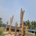 তিশার বাবা ও মুশতাকের অভিযোগ দুটোই খতিয়ে দেখা হবে:ডিবিপ্রধান হারুন