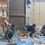 ভারত থেকে আসছে নারিকেল