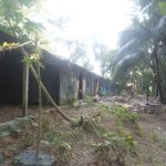 কমলগঞ্জে ইয়াবাসহ ১জনকে আটক
