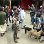 বরিশালে কুকুর জবাইর ঘটনায় থানায় অভিযোগ