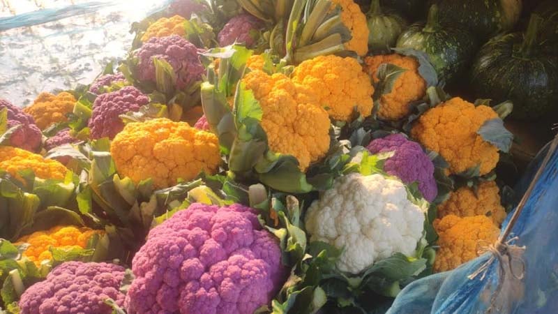 image 125436 1707222153