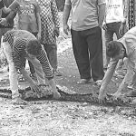 বগুড়া আরডিএর ১২ একর সরকারি জমি বেদখল 