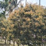 টিউশনিতে সংসার চলে নায়িকা শিরিন শিলার!