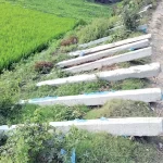 কুড়িগ্রামে সনদ জাল করে ৯ বছর শিক্ষকতা, অবশেষে পড়লেন ধরা
