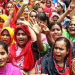  রাজাপুর থানা পুলিশের এসআই হেলাল ভয় দেখিয়ে টাকা না দিয়ে নিলেন মাছ 