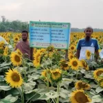 ‘দলিল লেখক’ শূন্য থেকে কোটি টাকার মালিক
