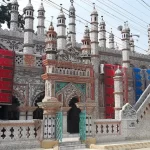একটি বাংলাদেশ। তুমি জাগ্রত জনতার। সারা বিশ্বের বিস্ময় তুমি আমার অহংকার