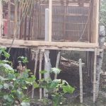 ভারতের নতুন নাগরিকত্ব আইন কি মুসলমান বিরোধী?