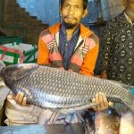 এনআইডি কার্ড নিয়ে অনলাইন-অফলাইনে সক্রিয় শত শত চক্র