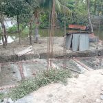 ঢাকার বাজারে ভারতীয় মাছ আমদানি