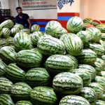 আফগানিস্তানে পাথর ছুড়ে হত্যার প্রথা ফিরিয়ে আনছে তালেবান