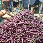 পশ্চিম তীরে আরও জমি দখল ইসরাইলের