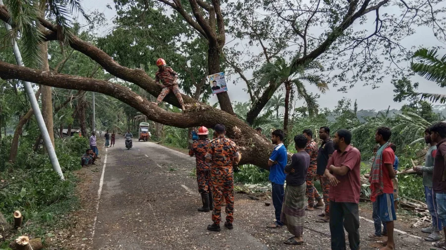 ঝালকাঠিতে বজ্রপাতে নারী ও শিশুসহ চারজন নিহত 5 043669d68e6fc38d4a8e857077740817 66127e66e2879