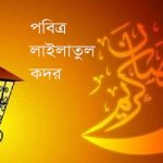 বরিশাল নগরীর কোনো জায়গায় শান্তি নেই মশার জন্য