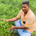 ইসরায়েলজুড়ে আবারো সরকারবিরোধী বিক্ষোভ