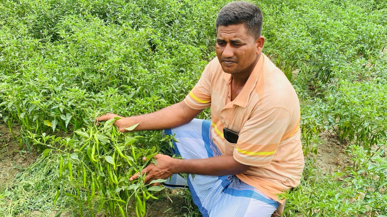 agri 20240428130856