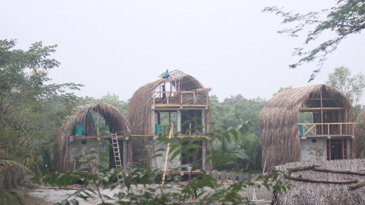সুন্দরবন ধ্বংসের পাঁয়তারা 5 image 80488 1713276511