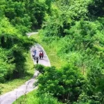 মুসলিম বিশ্বে সবচেয়ে বেশি সমালোচিত জর্ডান ও সৌদি আরব