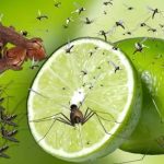 মরুর বুকে উত্তাপ ছড়ালেন অভিনেত্রী অধরা খান