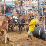 সারাদেশে ছাত্রলীগের পদযাত্রা,ফিলিস্তিনের পক্ষে সংহতি জানিয়ে
