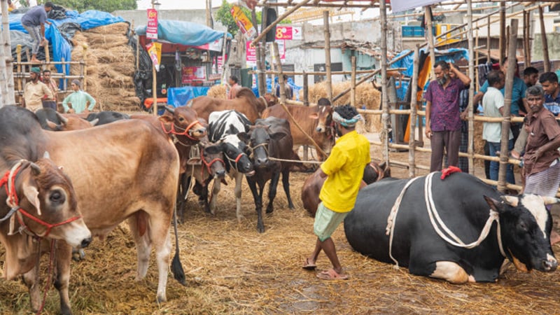ইজারার টাকা পরিশোধ না করেই হাসিল আদায়ের অভিযোগ ডিপজলের বিরুদ্ধে 5 03 1714951037
