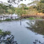 সুখবর দিলেন ভাবনা