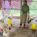 সুলতানি আমলের নিদের্শন শংকরপাশা শাহী মসজিদ