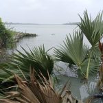 ইলিশের উৎপাদন বেড়ে ৫.৭১ লাখ টন: মন্ত্রী