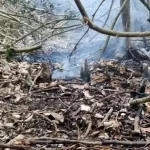 উপজেলা পরিষদ নির্বাচন বর্জনে বিএনপির নানামুখী কৌশল : বহিস্কারের তালিকা হচ্ছে দীর্ঘ
