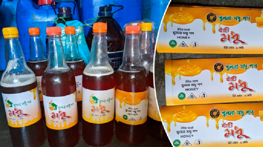 সুন্দরবনের 'খাঁটি মধু' নামে 'ভেজাল মধু'তে বাজার সয়লাব 5 Untitled 6 106