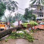 ২৬ হাজার মোবাইল নেটওয়ার্ক টাওয়ার বন্ধ