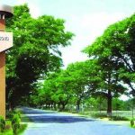 গাজা গণহত্যা: মার্কিন বিশ্ববিদ্যালয়ে নজিরবিহীন বিক্ষোভ
