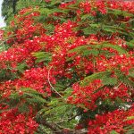 নতুন সিনেমায় আজমেরী হক বাঁধন