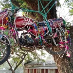 মিল্টনের আশ্রয়কেন্দ্রের অচল নারী, শিশু ও বৃদ্ধ মানুষগুলোর কী হবে