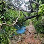 ২২ উপজেলা পরিষদের নির্বাচন স্থগিত