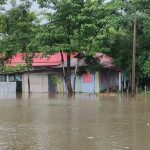 টাঙ্গাইলে ‘প্রার্থীদের খুশি করতে’ সিল মারা ব্যালটের ছবি ফেসবুকে