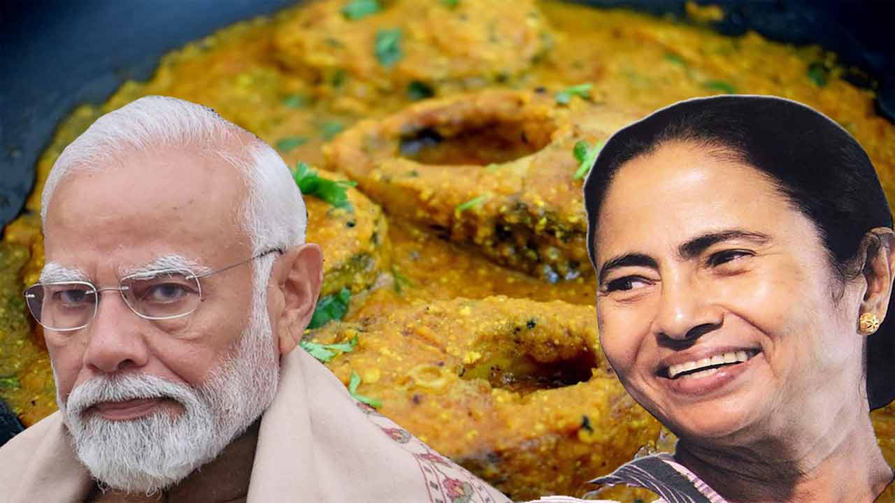 মোদিকে মাছ খাওয়ার নিমন্ত্রণ মমতার 5 m m 20240514063830