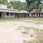 নেপালে নিষিদ্ধ হলো ভারতীয় দুই মসলার ব্র্যান্ড