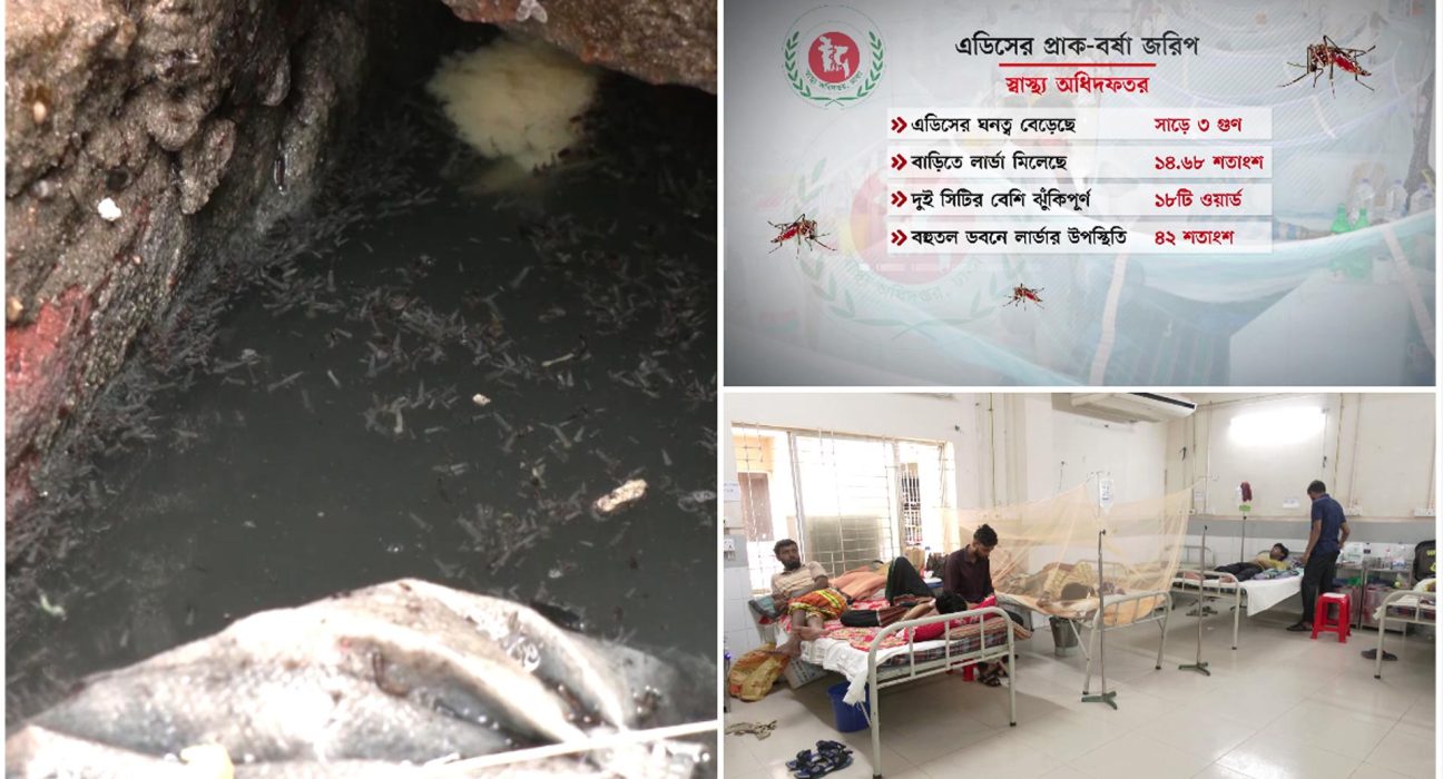 মাথাচাড়া দিচ্ছে ডেঙ্গু 5 bnnn