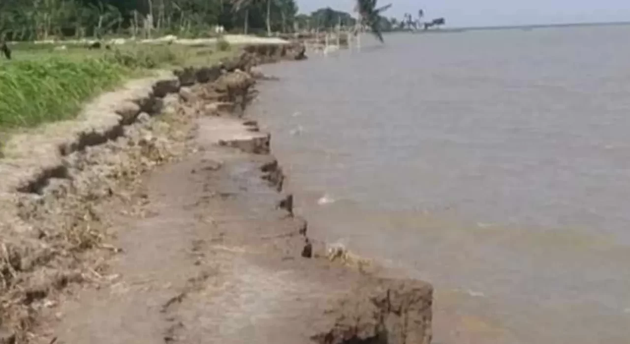 চাঁদপুরে নদী ভাঙ্গনে দিশেহারা চরবাসী 5 image 97752 1718923073